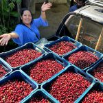 mujer y café