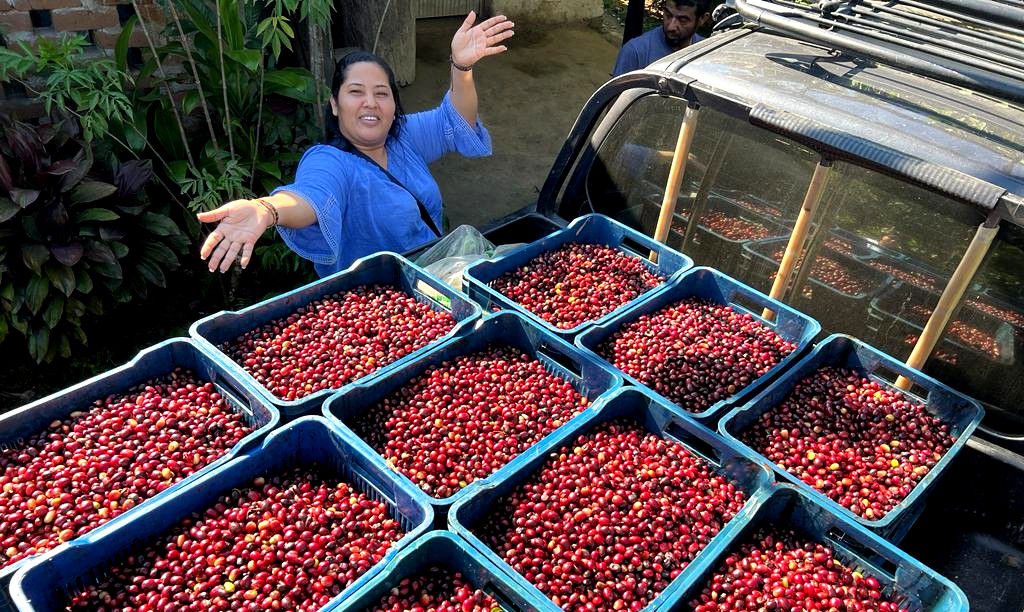 Las Mujeres Nicaragueses cada día tomando un rol más destacado en la producción de Café.