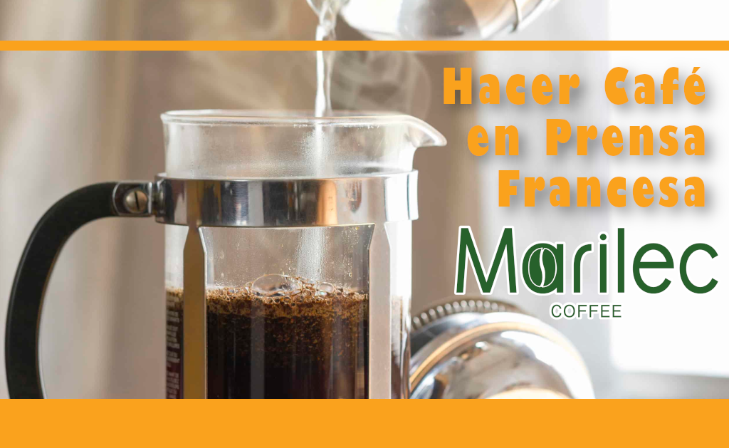 Hacer Café en Prensa Francesa - Marilec Coffee